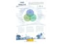 write SEO friendly spanish or galician blog articles